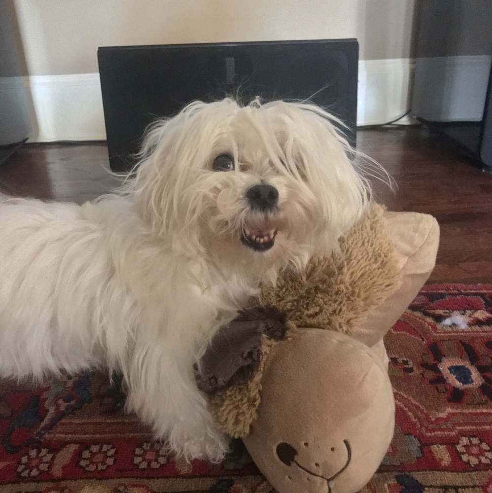 Meet your Posher, Jason